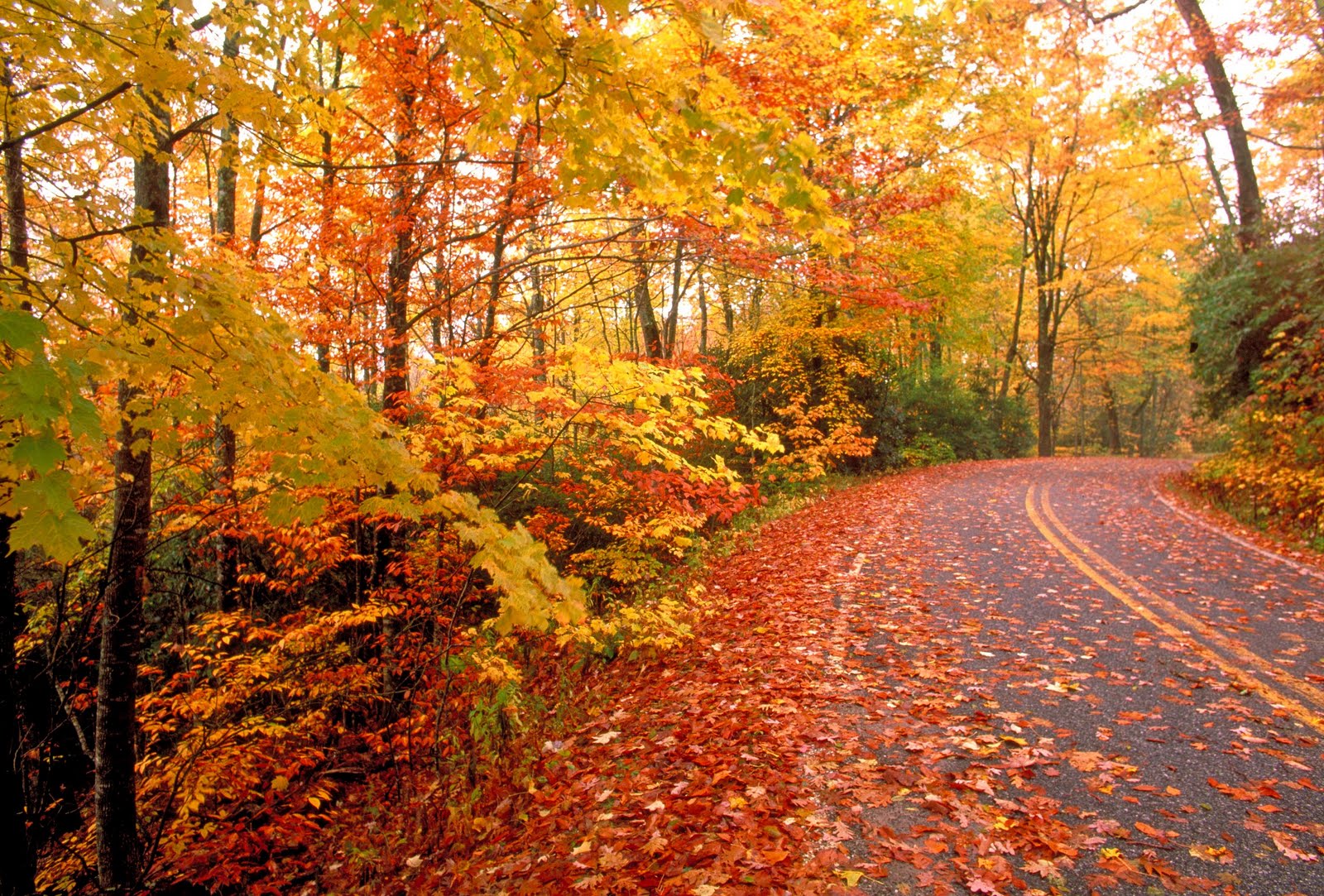 Things To Do In New England This Fall