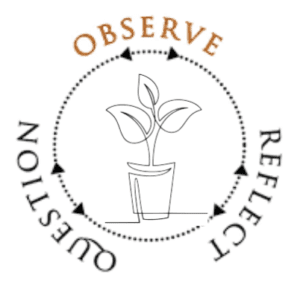 A circle with arrows that says "observe, reflect, question.