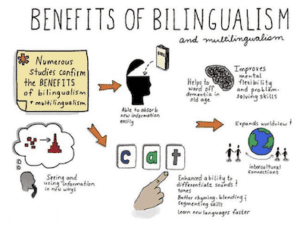 A graphic showing the benefits of multilingualism