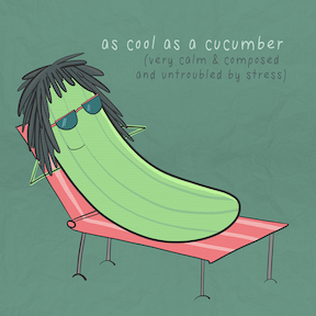 A pickle relaxing on a lounge chair with the saying: cool as a cucumber.