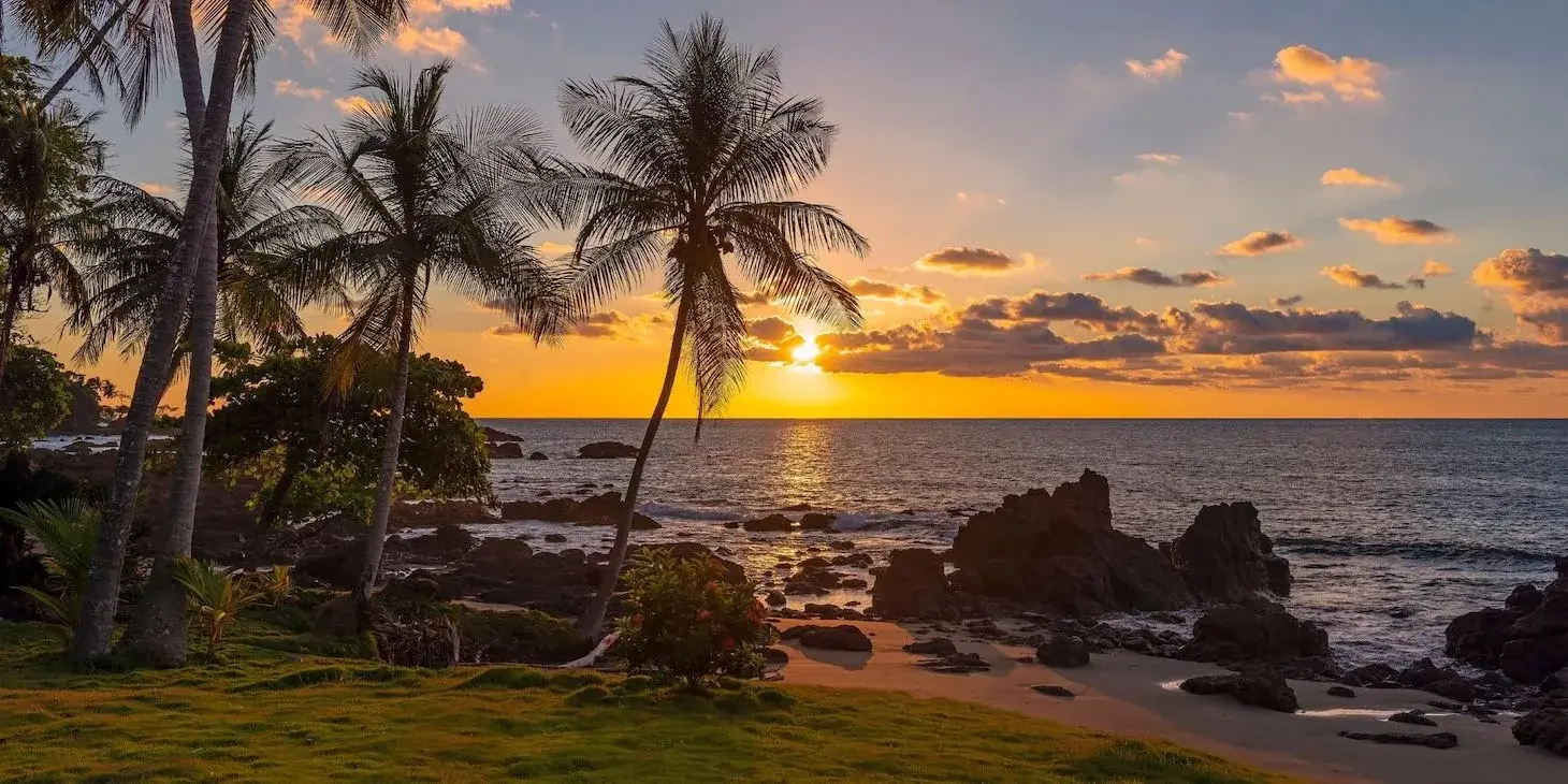 A sunset over the ocean with palm trees.