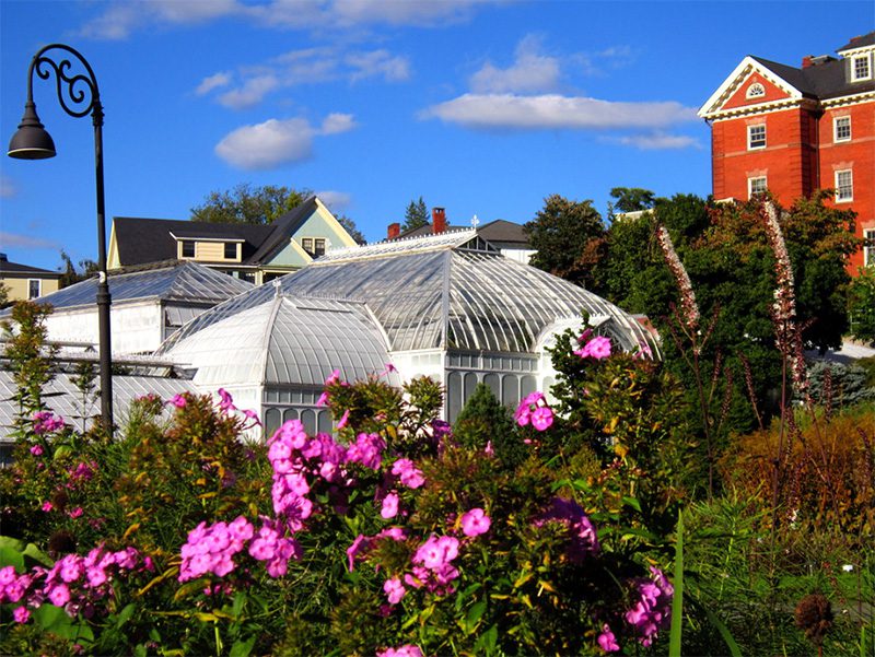A view of the Smith College greenhouses.