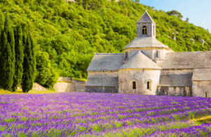 French in France