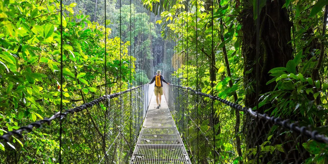 Person crossing a rope bridge suspended high above the lush rainforest!