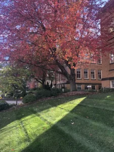 The International Language Institute of MA in the afternoon in Autumn.