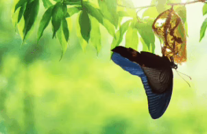 Celebrating a Summer of Growth