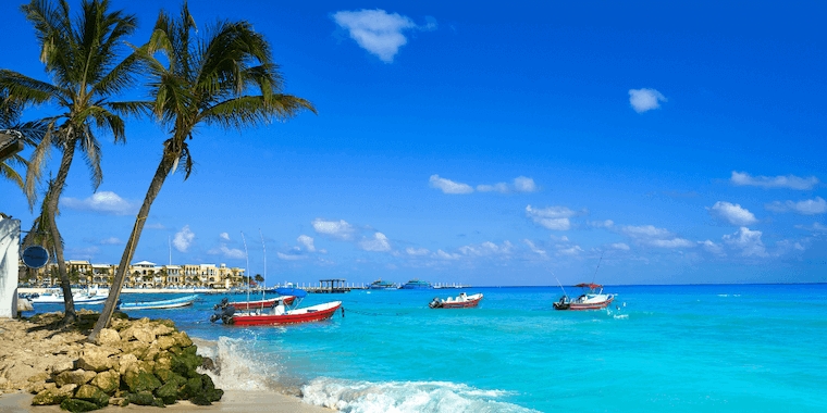 boats in the water with a palm tree and buildings