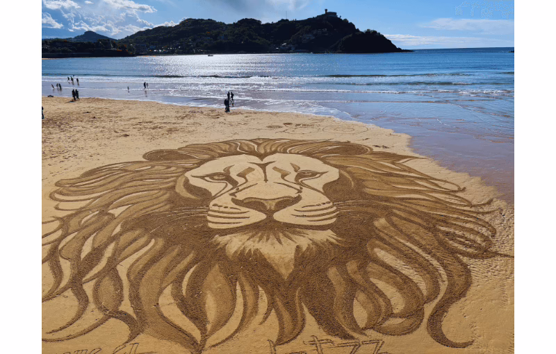 a drawing of a lion on the sand of a beach