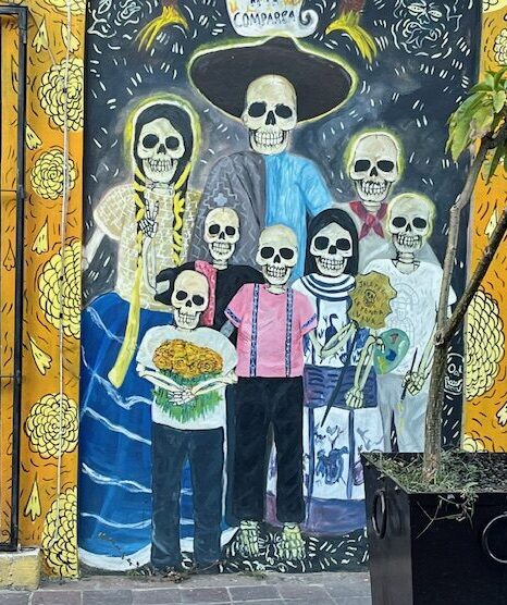 Hola Amigos! A Spanish Language Student’s Guide to learning in Mexico